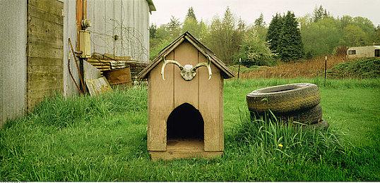 《风之克罗诺亚1+2》重置版新预告 7月7日发售支持中文